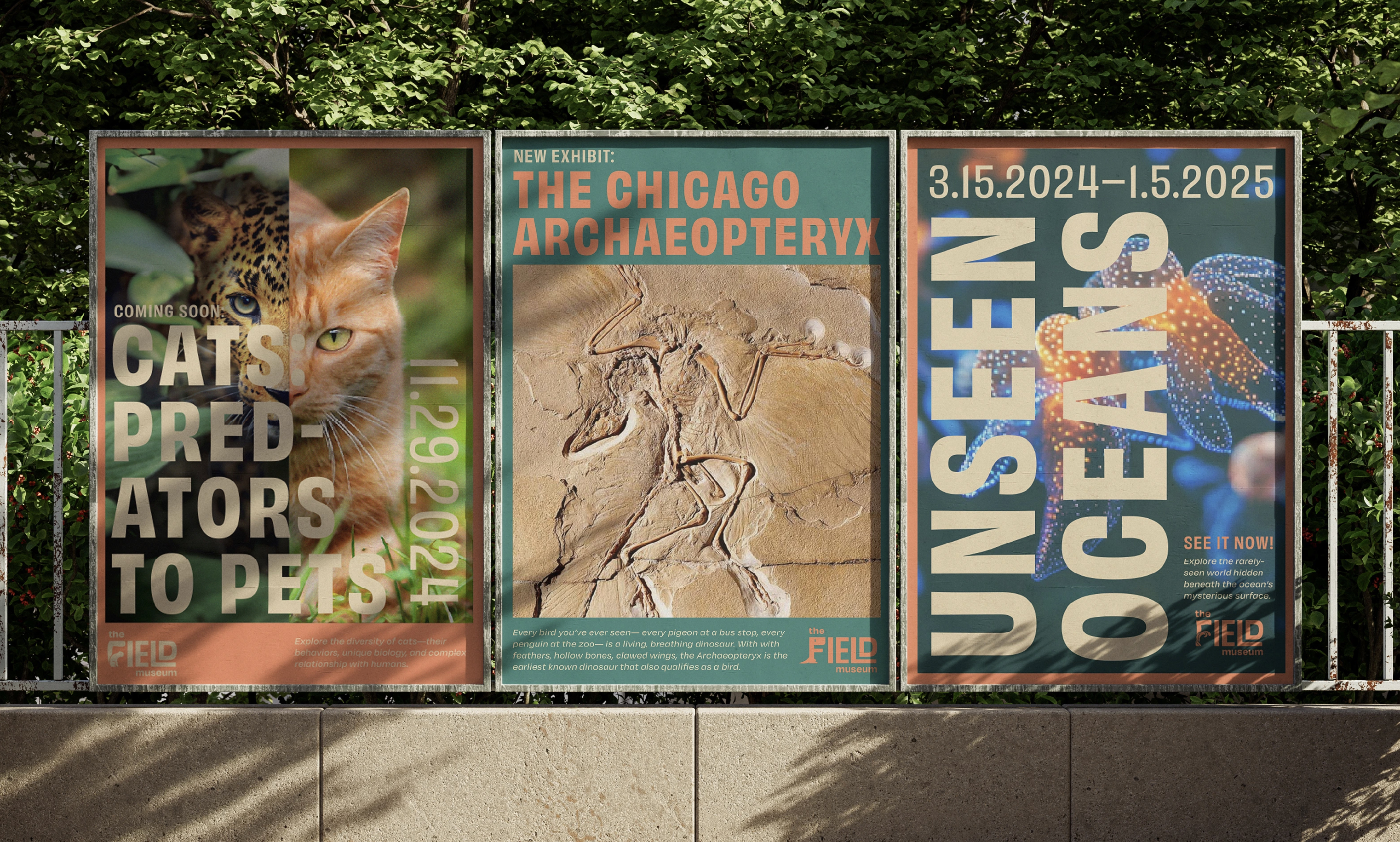 preview image of Field Museum Rebrand